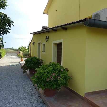 appartamento Podere i Renai Santa Maria a Monte Exterior foto