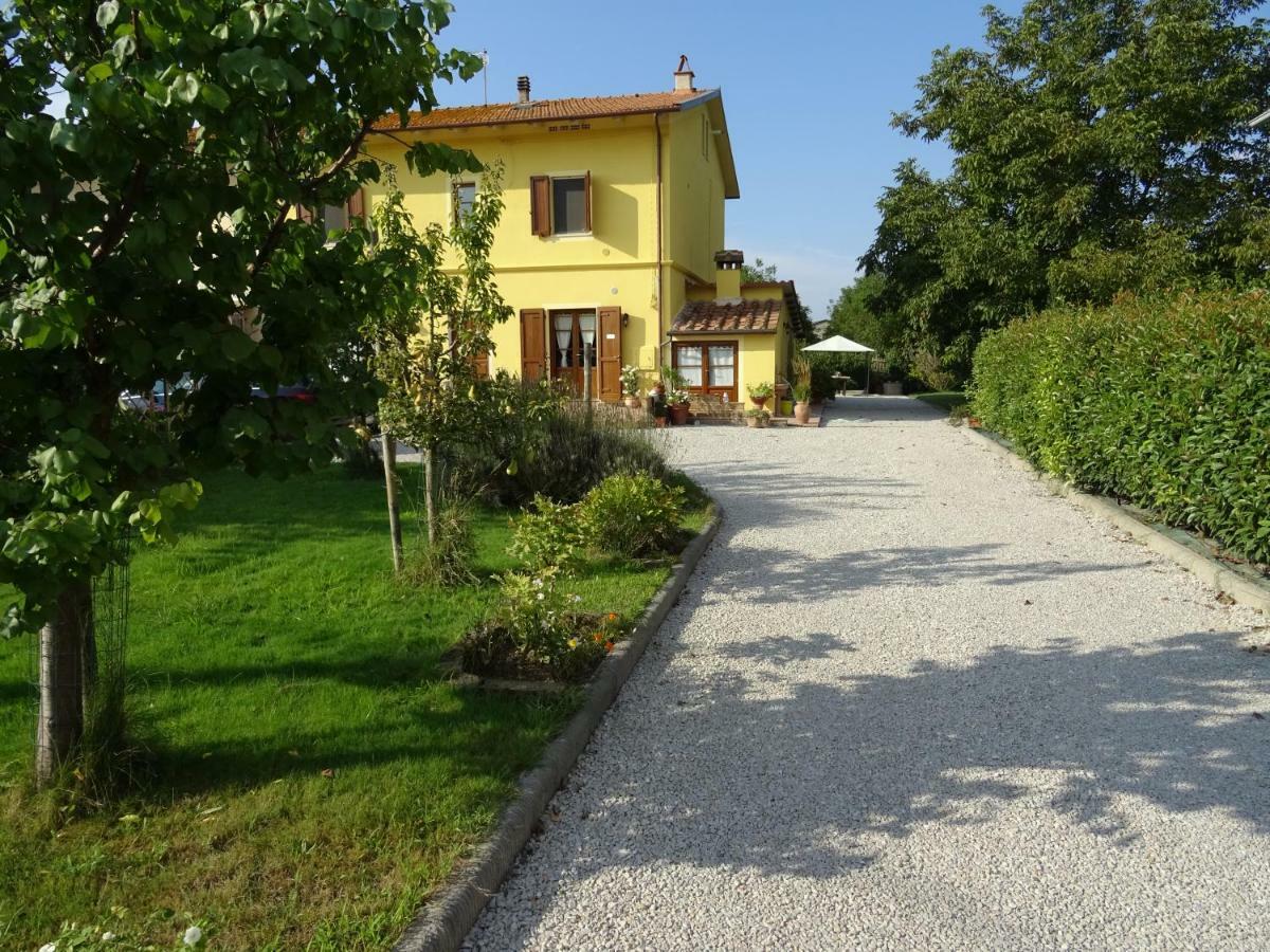 appartamento Podere i Renai Santa Maria a Monte Exterior foto